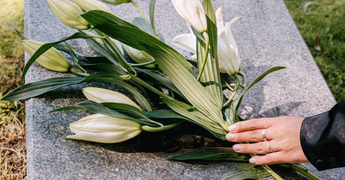 How to Assess a Provider's Reputation in the Cremation Industry