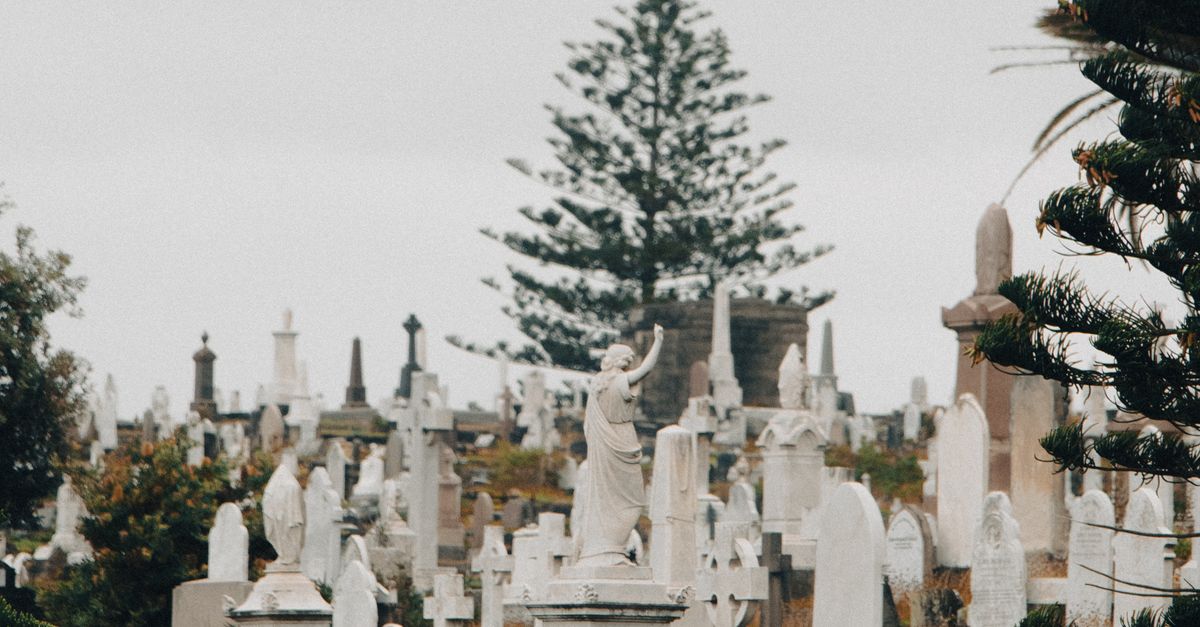 Understanding the Importance of Customer Service in Cremation Services